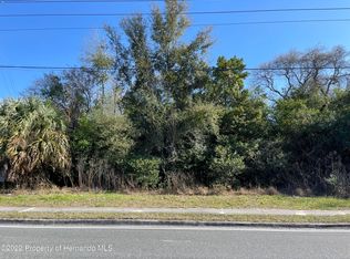 9504 Spring Hill Dr, Spring Hill, FL 34608