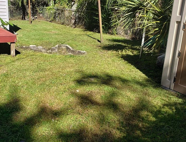Back yard