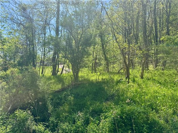 0 Gum St, Eleanor, WV 25070