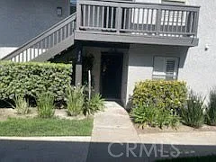 382 Orange Blossom — Photo 1