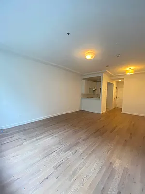 Rented by Voro NYC | media 26