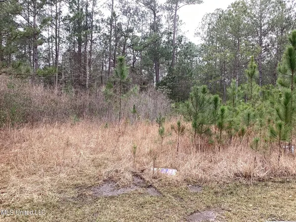 Martin Bluff Rd Lot 24, Gautier, MS 39553