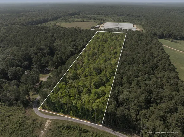 0 Evans Dr, Collins, MS 39428