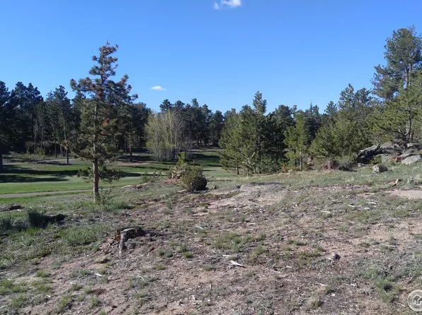 3031 Lake Arapahoe Ct, Red Feather Lakes, CO 80545