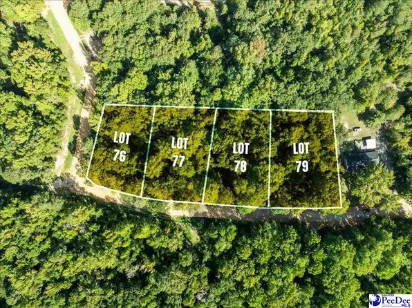0 Jeffrey St Lot 77, Cheraw, SC 29520