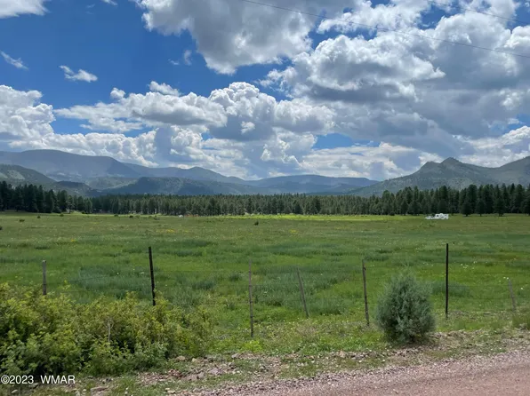 182 County Road 2130, Nutrioso, AZ 85932