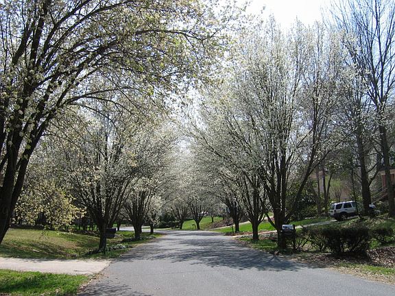 House is on the left