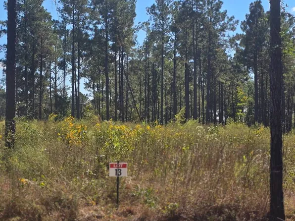 13 Army Recreation Rd, Florien, LA 71429