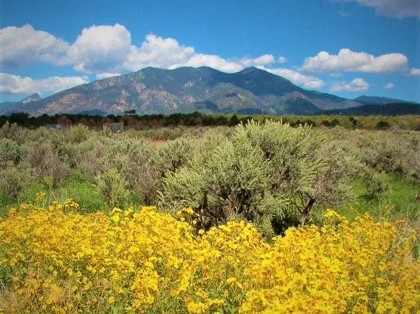 2008 Cottontail Rd #2, Taos, NM 87571