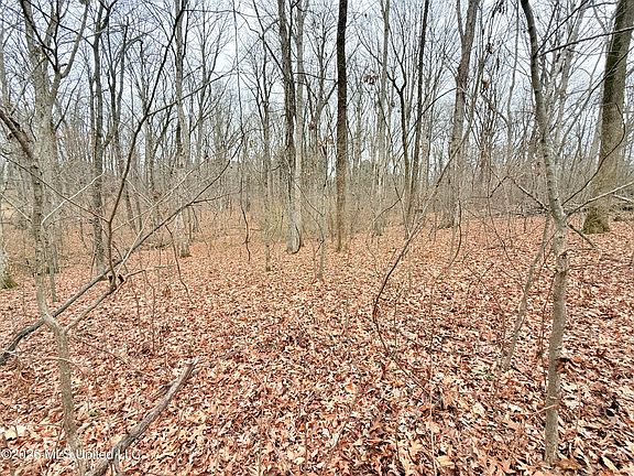 5th image of Pioneer Vlg Lot 14