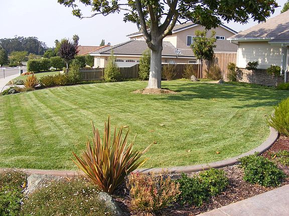 3rd image of 1039 Foxenwood Dr
