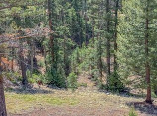 3167 N Mountain Estates Rd, Florissant, CO 80816