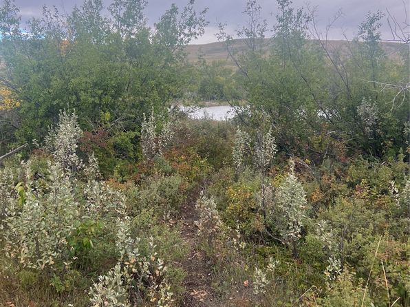 Nhn Paisley Rd TRACT 4, Babb, MT 59411
