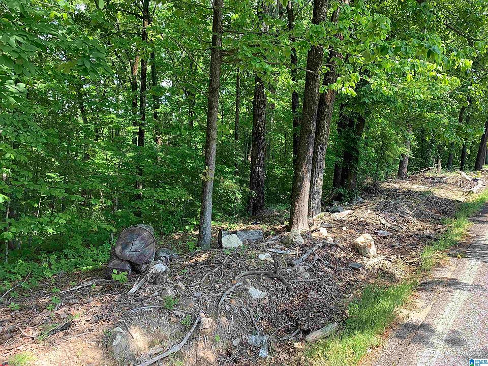 2nd image of 6246 Red Hollow Rd