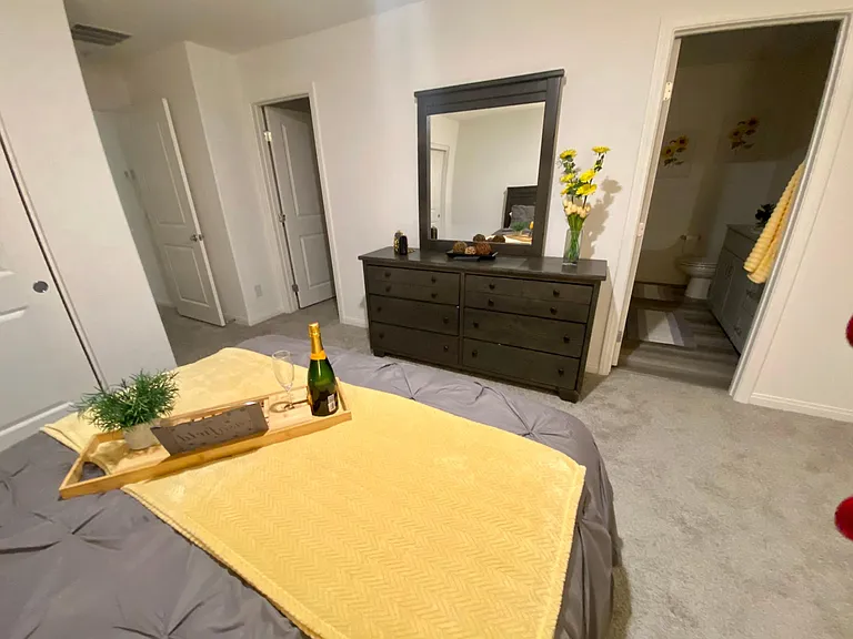 2828 Mosaic Moon Ln — Photo 32