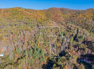 299 Morton Rd, Hampton, TN 37658