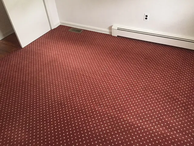 21 Nursery Rd #1 — Photo 6