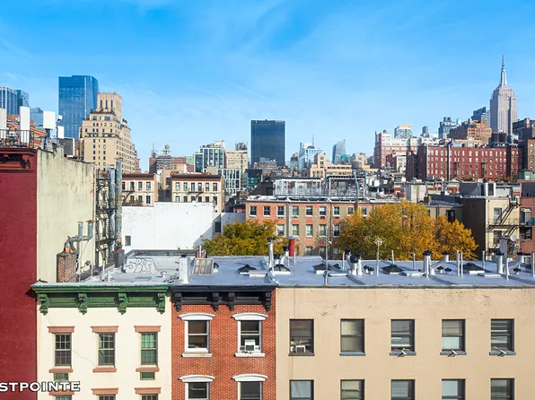 252 West 20th Street image 6 of 11