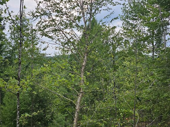5th image of 22-03 Rowell Mountain Road