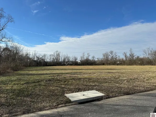 613 S 10th St, Mayfield, KY 42066