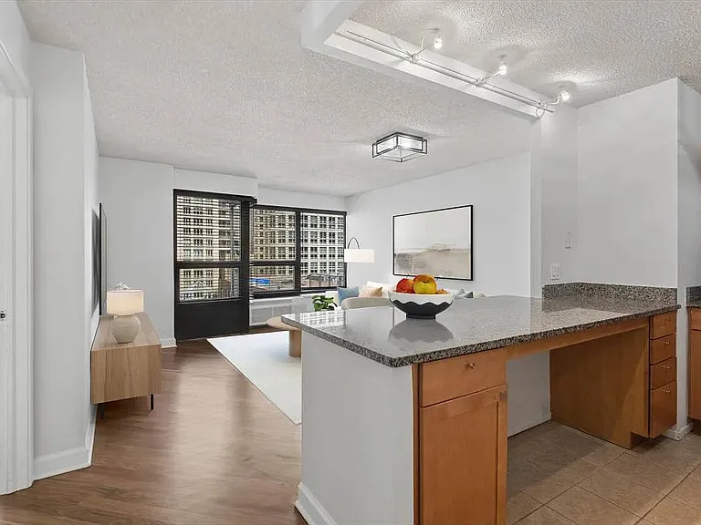30 E Huron St #908 — Photo 13