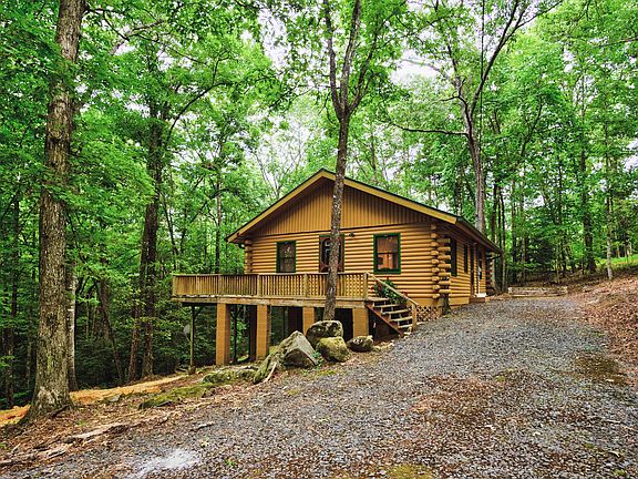 Lush and shady in summer