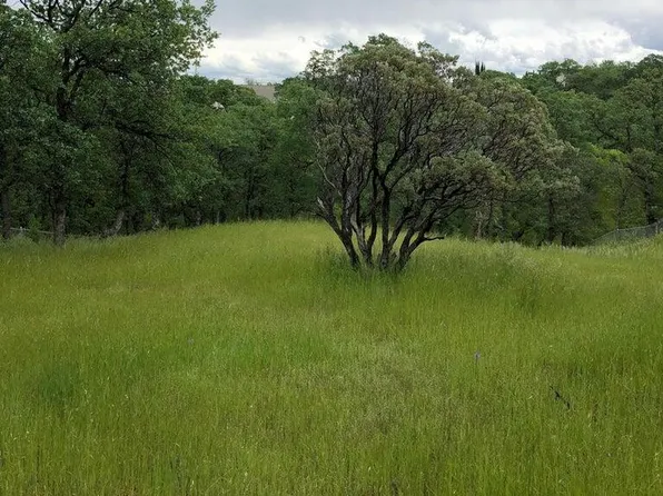 19566 Covington Mill Dr, Cottonwood, CA 96022