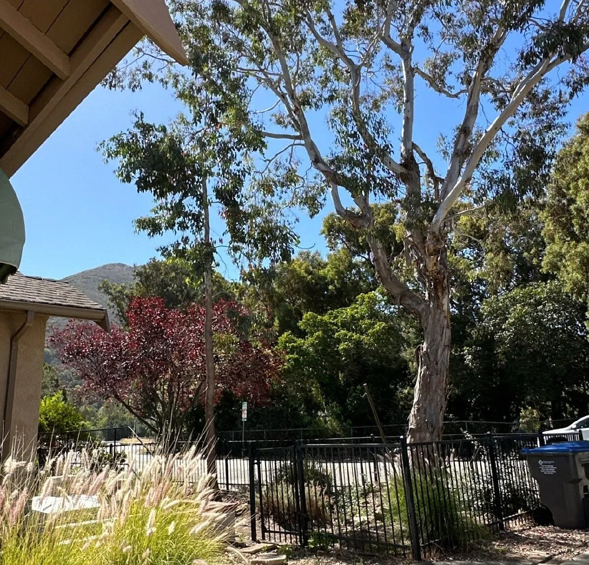3 bed, 2.0 bath, 1450 sqft, $3,800 — Photo 4
