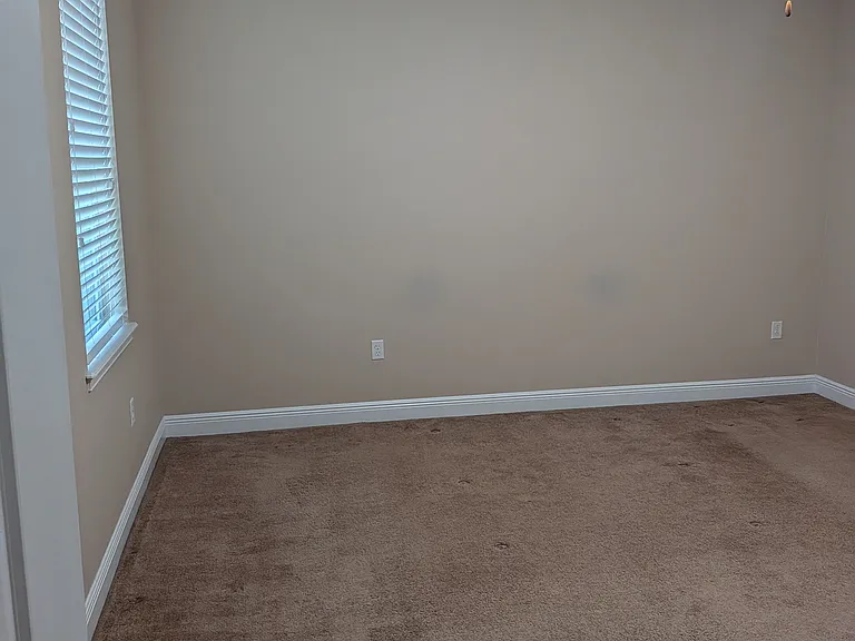11517 Quiet Forest Dr — Photo 54