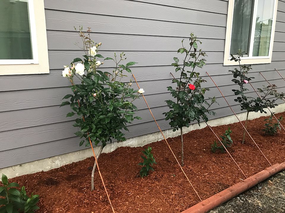 ADU Flower Bed