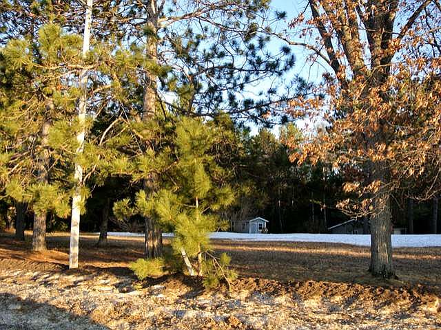 2nd image of 610 Acacia Ln