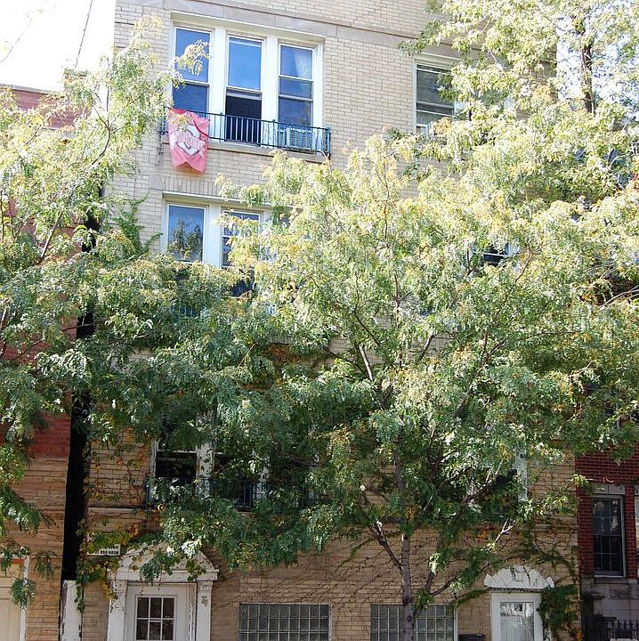 1st image of 2904 N Damen Ave APT 3