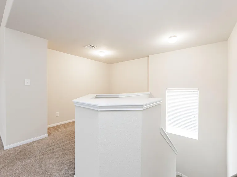 24922 Scarlatti Cantata Dr — Photo 23