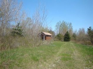 0 Emerson Rd, Goodells, MI 48027