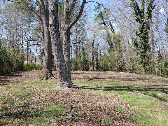 Large wooded back yard