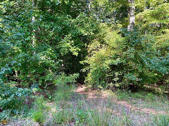 5th image of 350 Antebellum Way