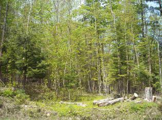 14 Road, Minerva, NY 12851