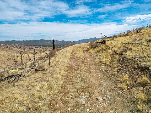 5th image of 31st Trail