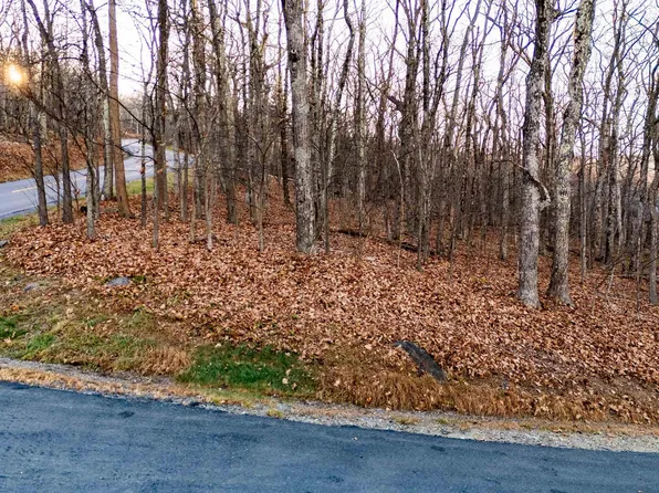 23 N Rock Tree Ln, Roseland, VA 22967