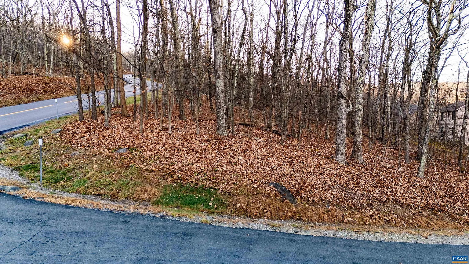 23 N Rock Tree Ln photo 1
