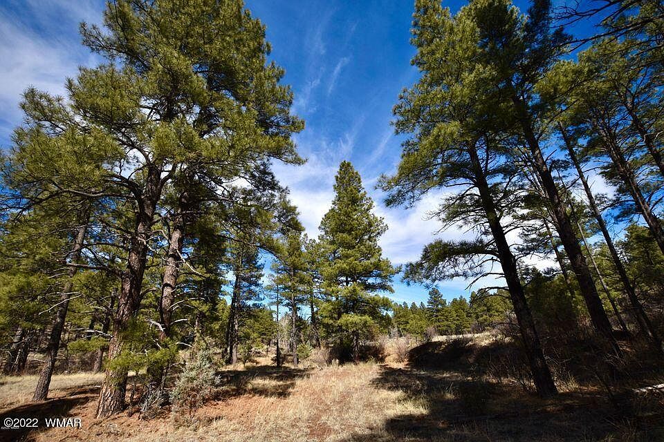 1st image of 4701 W Mogollon Dr