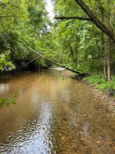 Woods Prong Rd, Linden, TN, 37096