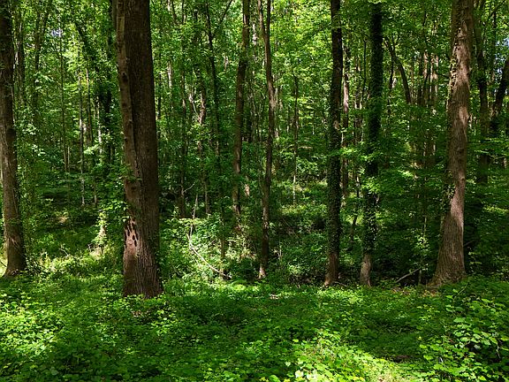 5th image of 186 Doyl Rd