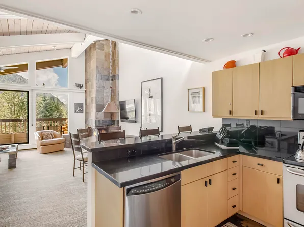 610 S West End St #E401, Aspen, CO 81611