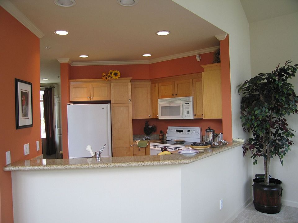 Open kitchen with eating space