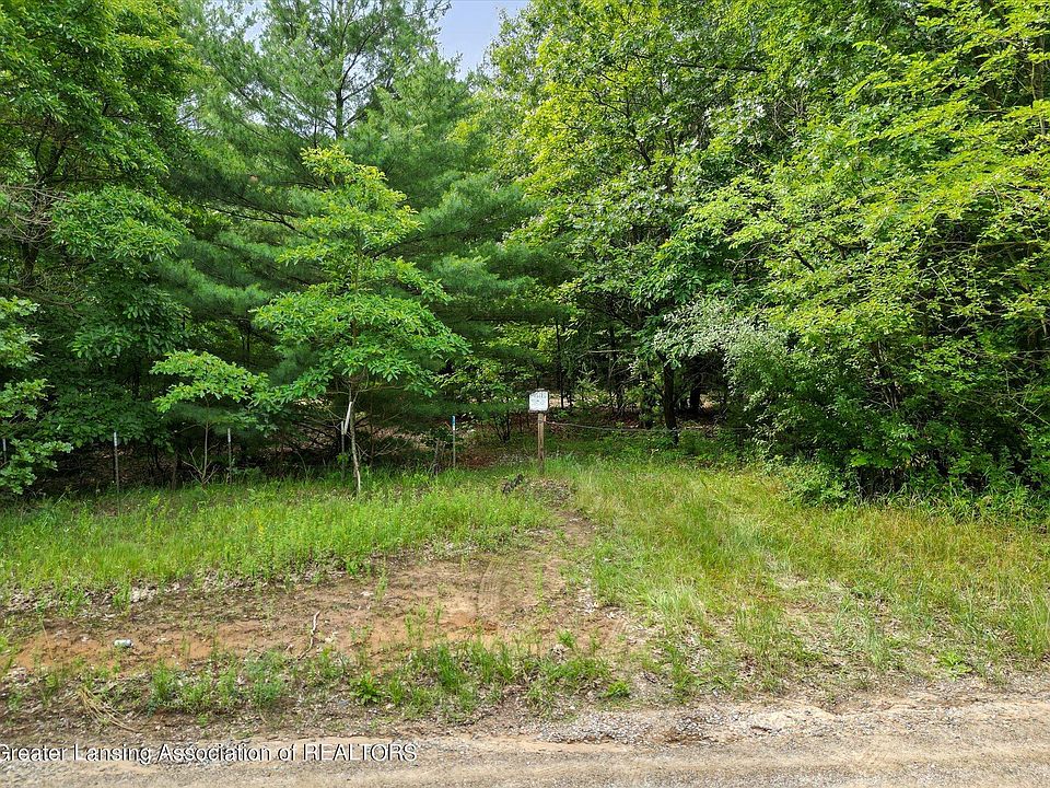 0 McKenna Rd, Hubbardston, MI 48845 Zillow