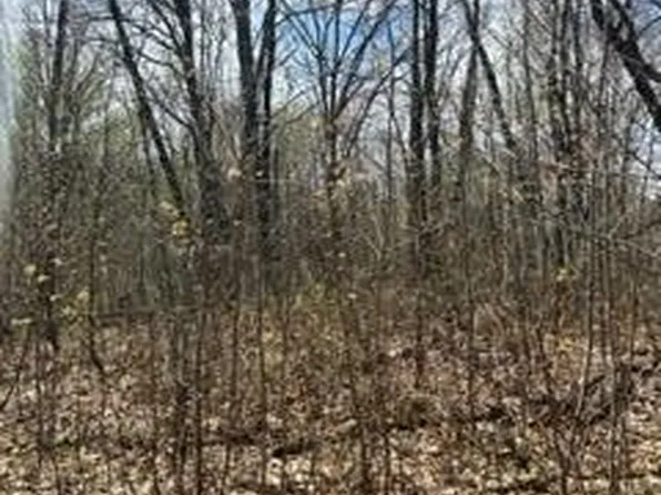 Opal Ln, Cushing, MN 56443