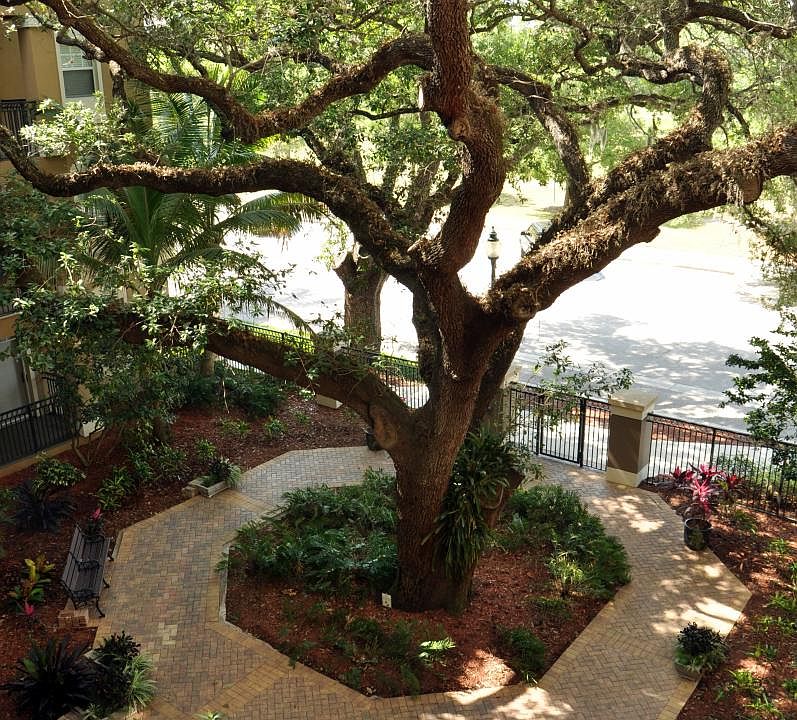 Front entrance/garden