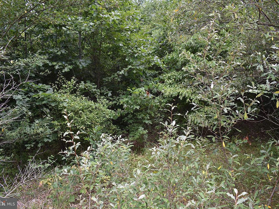 2nd image of McKees Gap Rd Lot 9