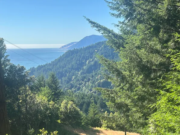 323 Parsons Rd, Whitethorn, CA 95589